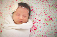 Chambers Newborn-June 26, 2015-3