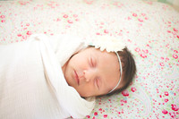 Chambers Newborn-June 26, 2015-5