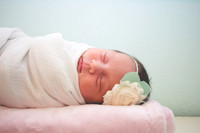 Chambers Newborn-June 26, 2015-41